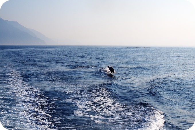 美哉 Formosa!!! 從海上看清水斷崖，賞日出，追海豚