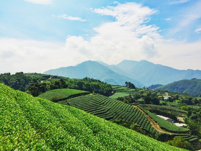 從旅程中享受自然純樸與感動—瑞峰太和休閒農業區、茶山村