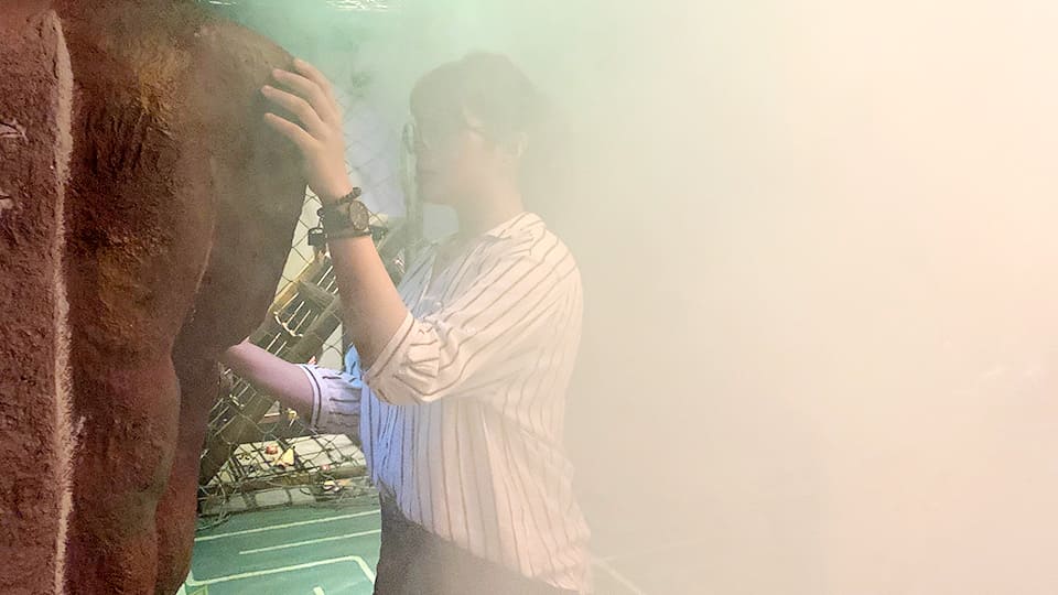 邏思起子-迷霧島-萬物神殿
